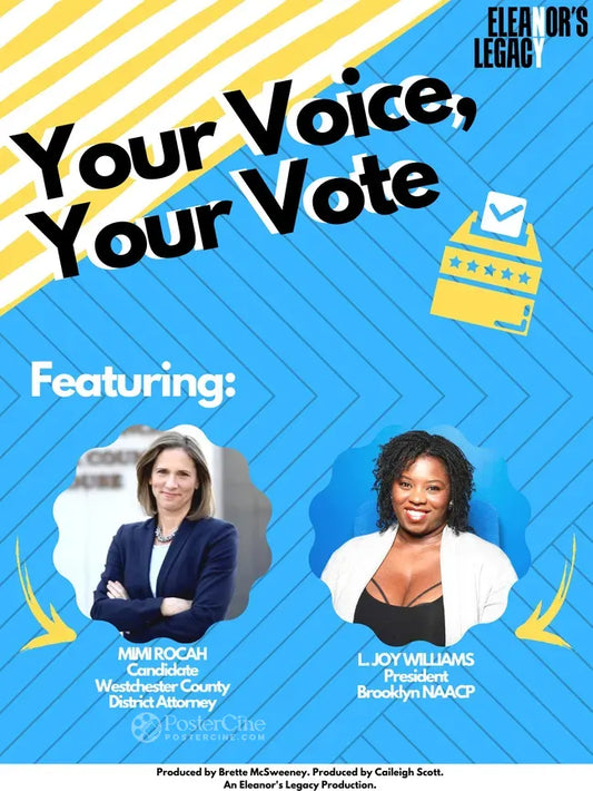 Your Voice, Your Vote Poster